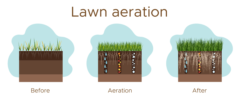 Lawn Aeration and Over Seeding, Countryside Maintenance Lawn & Landscape
