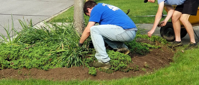 Landscaping Services Countryside Maintenance Lawn & Landscape