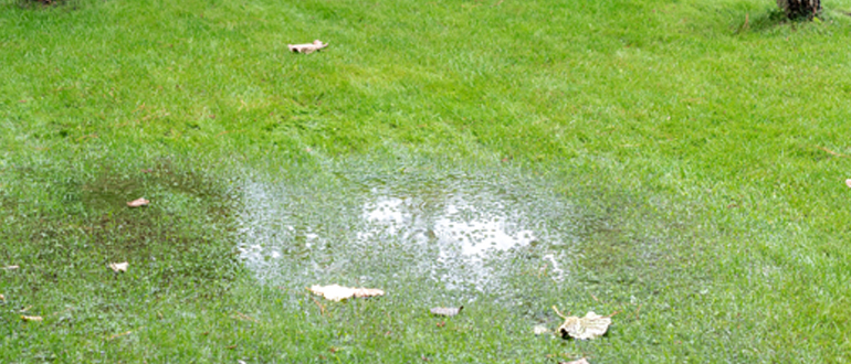 French Drain Install, Countryside Maintenance Lawn & Landscape