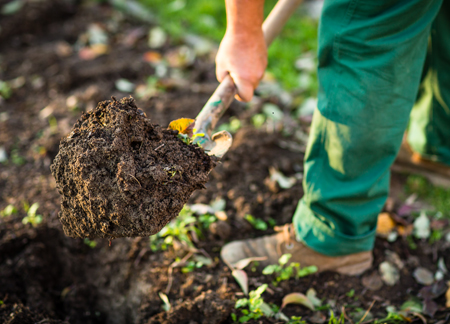 French Drain Install, Countryside Maintenance Lawn & Landscape