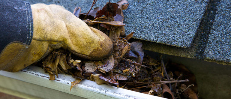 Gutter Cleaning, Countryside Maintenance Lawn & Landscape