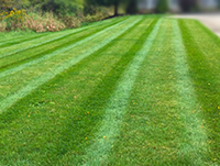 Countryside Maintenance Lawn & Landscape