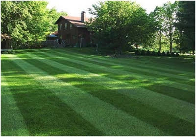 Lawn Mowing Countryside Maintenance Lawn & Landscape