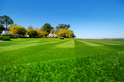 Countryside Maintenance Lawn & Landscape