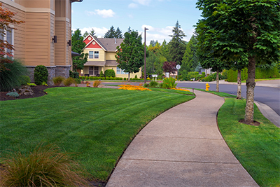 Countryside Maintenance Lawn & Landscape