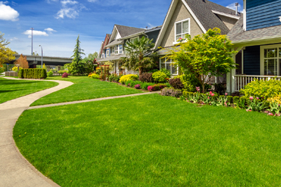 Lawn Aeration and Over Seeding, Countryside Maintenance Lawn & Landscape