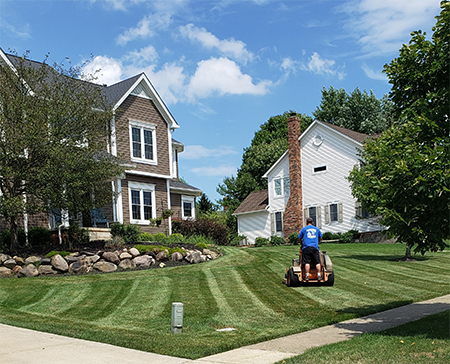 Countryside Maintenance Lawn & Landscape