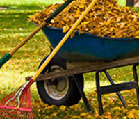 Leaf Blowing, Leaf Removal, Countryside Maintenance Lawn & Landscape