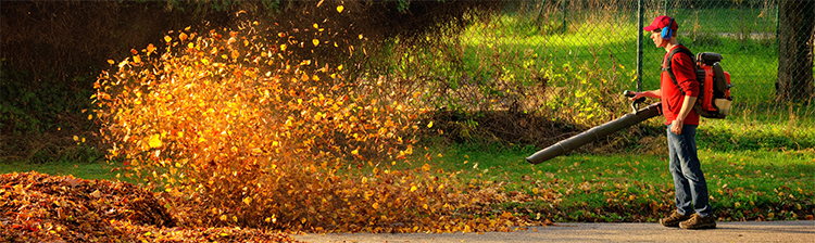 Leaf Blowing, Leaf Removal, Countryside Maintenance Lawn & Landscape