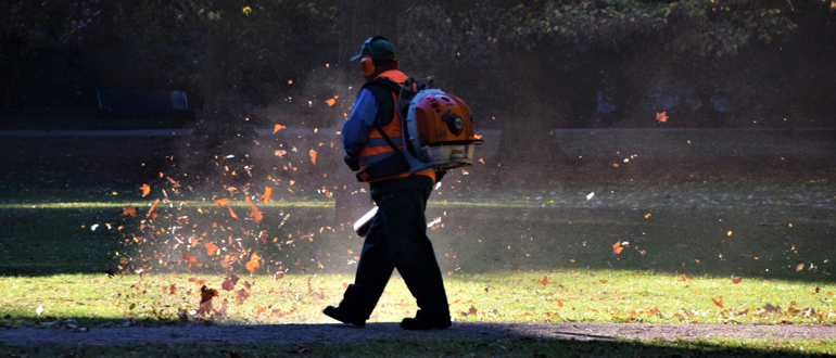 Leaf Blowing, Leaf Removal, Countryside Maintenance Lawn & Landscape