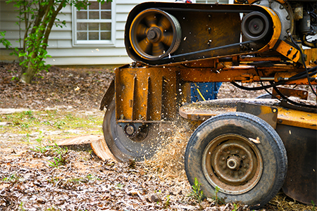 Countryside Maintenance Lawn & Landscape