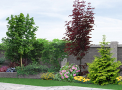 Plants and Trees Installed, Countryside Maintenance Lawn & Landscape