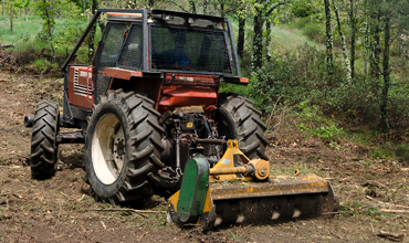 Brush Clean Up