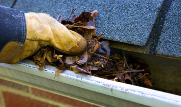 Gutter Cleaning