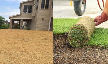 Lawn Install New Grass Residential Commercial