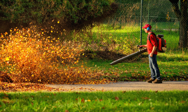 Leaf Blowing Lawn Care