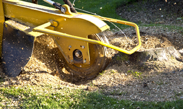 Stump Grinding Tree Service