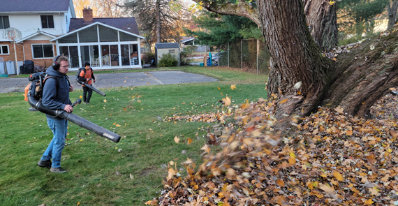 Seasonal Clean-Up, Countryside Maintenance Lawn & Landscape