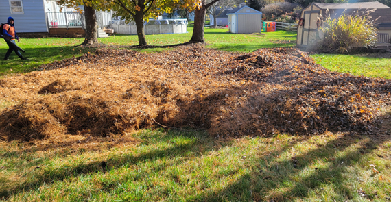 Seasonal Clean-Up, Countryside Maintenance Lawn & Landscape