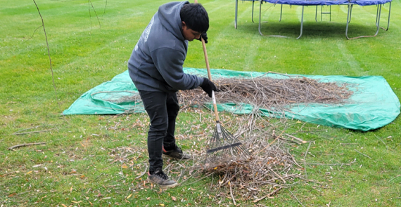 Seasonal Clean-Up, Countryside Maintenance Lawn & Landscape