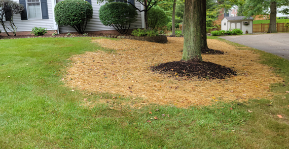 Lawn Install, Countryside Maintenance Lawn & Landscape