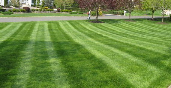 Lawn Mowing, Countryside Maintenance Lawn & Landscape