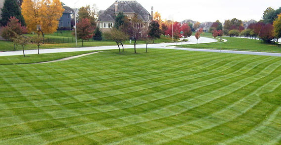 Lawn Mowing, Countryside Maintenance Lawn & Landscape