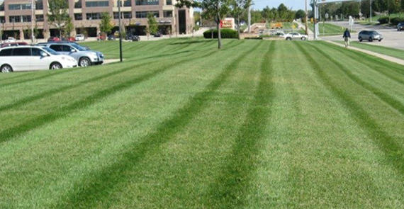 Lawn Mowing, Countryside Maintenance Lawn & Landscape
