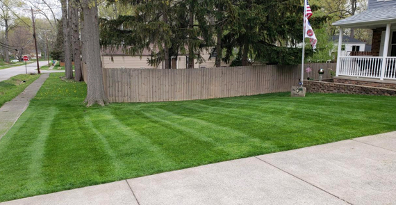 Lawn Mowing, Countryside Maintenance Lawn & Landscape