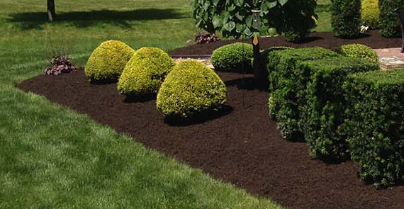 Countryside Maintenance Lawn & Landscape