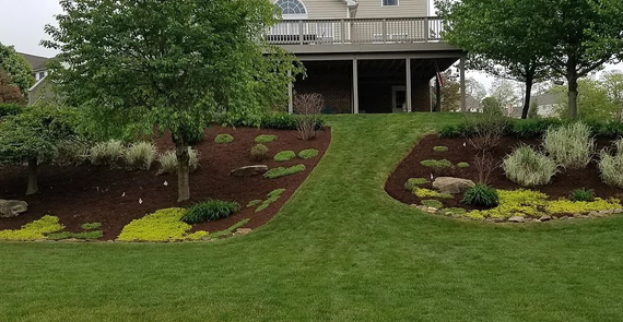 Countryside Maintenance Lawn & Landscape