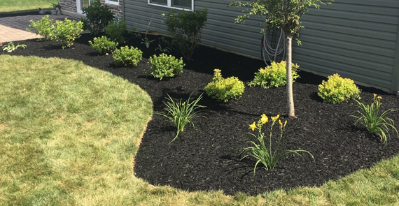 Countryside Maintenance Lawn & Landscape