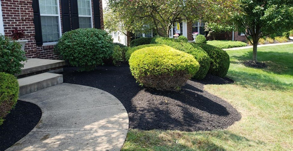 Countryside Maintenance Lawn & Landscape