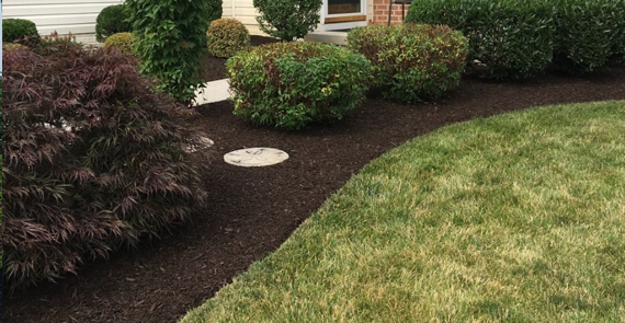 Countryside Maintenance Lawn & Landscape