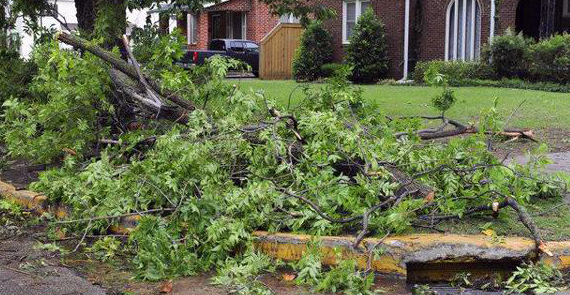 Brush Removal Countryside Maintenance Lawn & Landscape