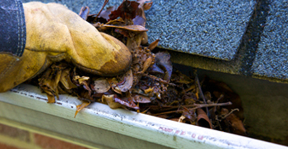 Gutter Cleaning Countryside Maintenance Lawn & Landscape