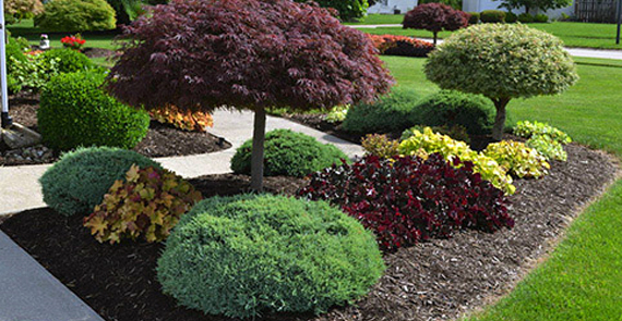 Planting Trees and Shrubs Countryside Maintenance Lawn & Landscape