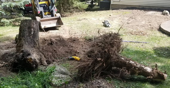 Stump Grinding, Countryside Maintenance Lawn & Landscape