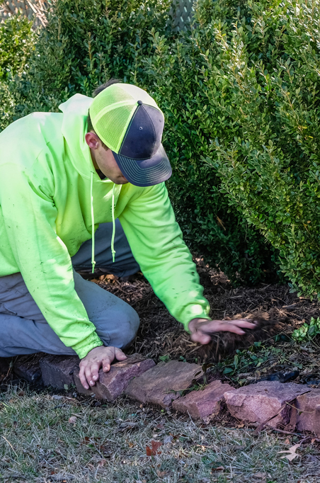 Seasonal Lawn Clean Up, Countryside Maintenance