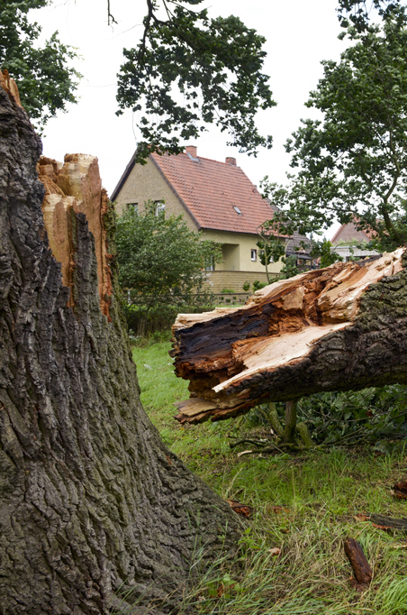 Seasonal Lawn Clean Up, Countryside Maintenance