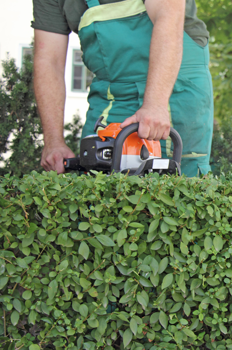 Seasonal Lawn Clean Up, Countryside Maintenance