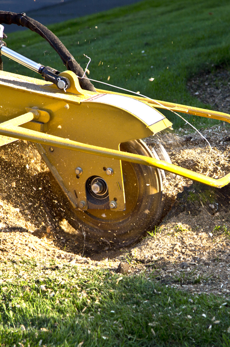 Tree Stump Grinding, Countryside Maintenance