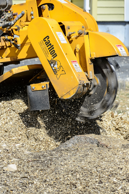 Tree Stump Grinding, Countryside Maintenance