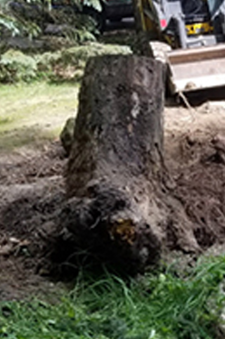 Tree Stump Grinding, Countryside Maintenance